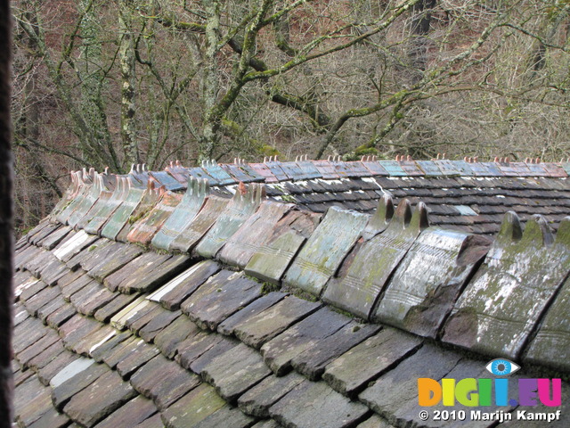 SX13449 Curved roof at Castle Coch